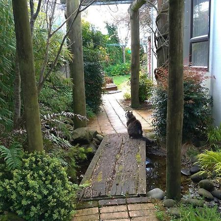 Secret Cottage Waitara Екстериор снимка