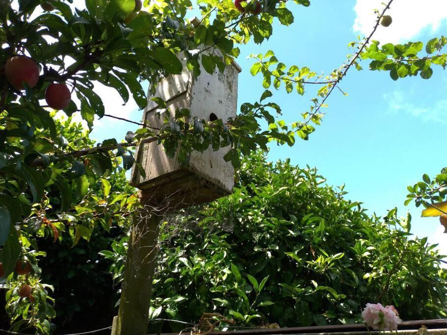 Secret Cottage Waitara Екстериор снимка