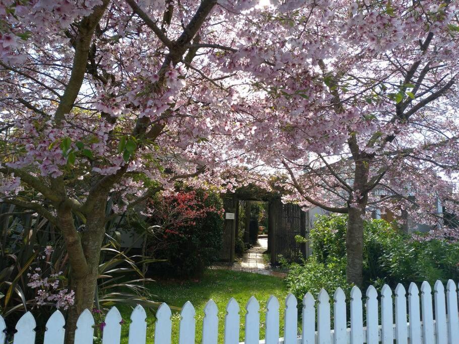 Secret Cottage Waitara Екстериор снимка